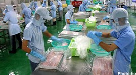 Challenges for exports to Africa
