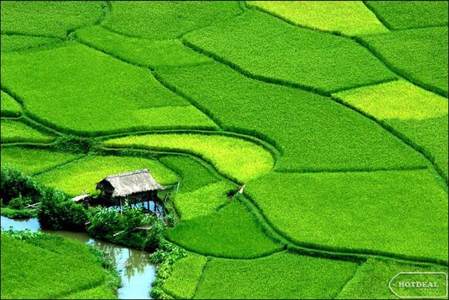 Mai Chau listed among top 10 new hotspots in Asia