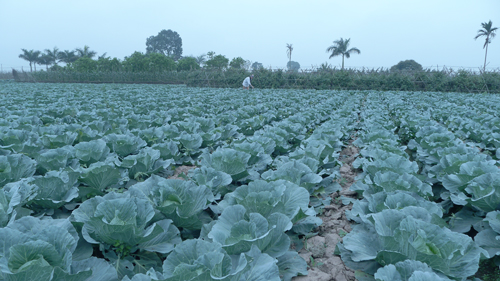 Yên Khánh Ninh Bình  Nhiều kết quả tích cực trong học tập và làm theo tấm gương đạo đức Hồ Chí Minh