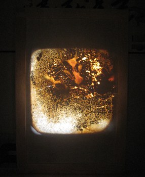 Khai mạc triển lãm “Palimpseste”