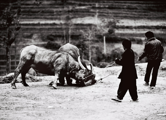 Contemplating black and white photos in age of the digital technology
