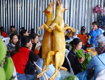 Chấm dứt tình trạng buôn bán động vật hoang dã tại Chùa Hương