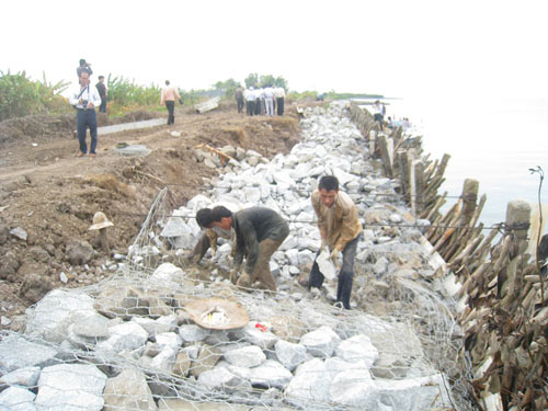 Giải pháp kè bản nhựa, kè rọ đá hộ đê biển Tây Cà Mau không đạt hiệu quả mong muốn