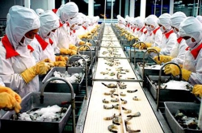 Bạc Liêu Xuất khẩu thủy sản có dấu hiệu phục hồi