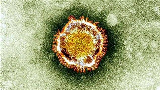 Le coronavirus se transmet sans doute d’homme à homme, selon l’OMS