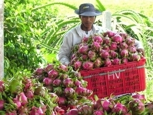 Vietnam, Japan promote agriculture cooperation