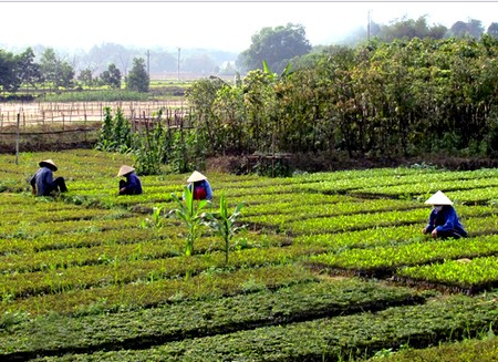Yên Lập Phú Thọ  Nhiều chuyển biến sau 1 năm triển khai Nghị quyết Trung ương 4 khóa XI