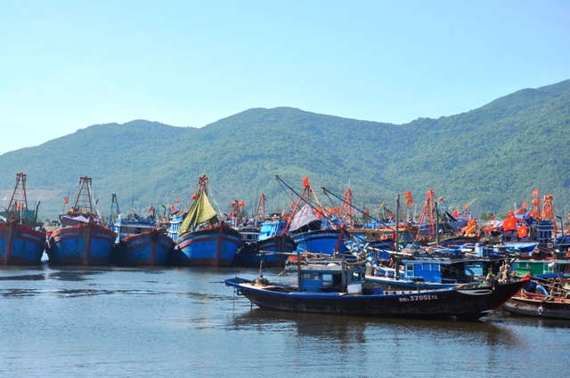 Dịch vụ hậu cần cho các tàu cá đánh bắt xa bờ tại Đà Nẵng