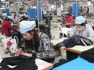 越南失业大军年轻人占一半