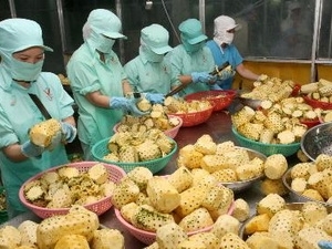 Vietnam resumes exports of fruit, vegetables to EU