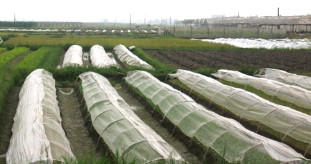 Vĩnh Phúc quyết tâm thực hiện hoàn thành các tiêu chí nông thôn mới 20 xã điểm trong năm 2013