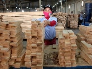 Vietnamese, Italian businesses foster links