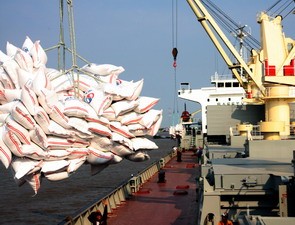 Four-month rice exports estimated at 2 38 million tonnes