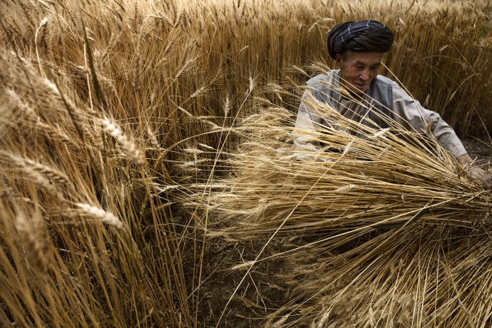 FAO il est urgent de renforcer la lutte contre la malnutrition dans le monde