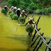 Le Vietnam hors du temps