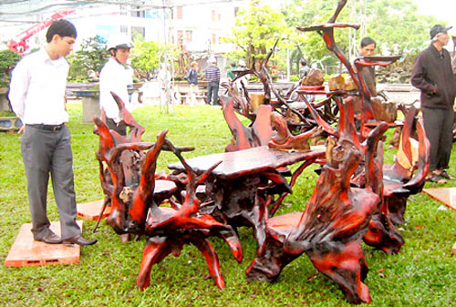 National timber fair opens in Binh Dinh