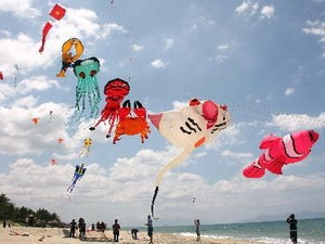 Int’l kite exhibition opens in Nam Dinh