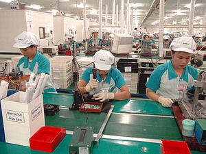 35 countries and territories invest in Dong Nai