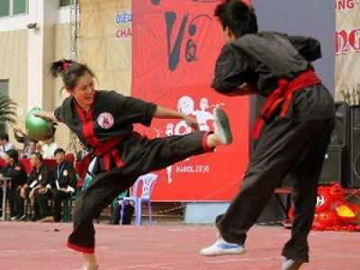 2013年越南中部西原地区传统武术锦标赛落下战幕