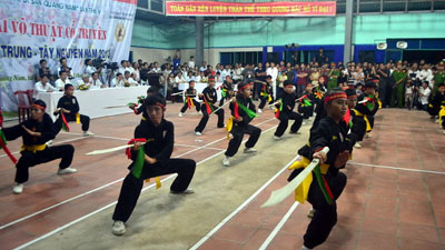 2013年越南传统武术锦标赛拉开帷幕