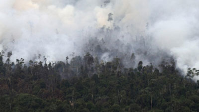 印尼外长说引起跨境烟霾的林火已被控制