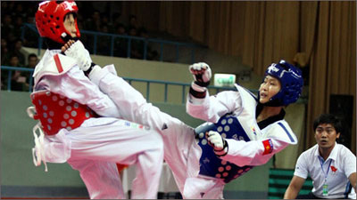 第九届法语圈国家跆拳道公开赛在越南胡志明市举行