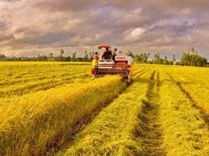 Vietnam, Mozambique look to further investment links