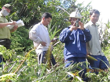 Cần nhân rộng mô hình quản lý rừng cộng đồng