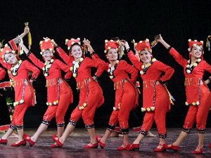 Ouverture du Festival national de danse amateur 2013