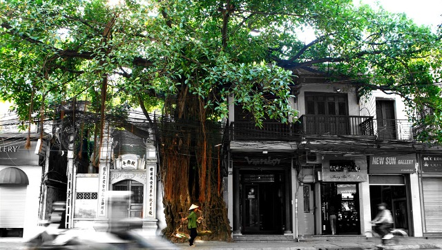 Triển lãm ảnh từ thiện “Ánh sáng từ tâm”