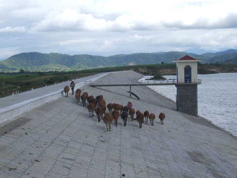 Phú Yên Nhiều hồ thủy lợi tiến độ chậm, chưa phát huy hiệu quả