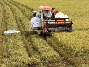 Mekong Delta targets annual GDP growth of 11-12 percent