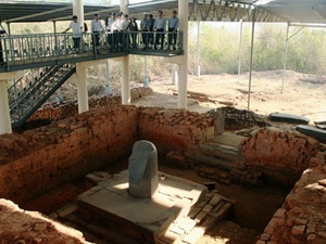 Cat Tien archaeological site proposed as special national relic