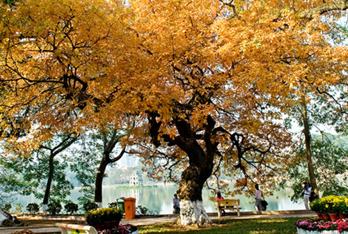 Vietnam – Paris autumn photo contest launched