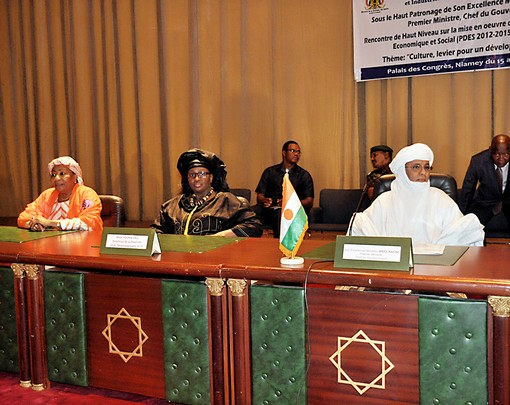 NIGER MISE EN ŒUVRE DU VOLET CULTURE DU PLAN DE DÉVELOPPEMENT ÉCONOMIQUE ET SOCIAL
