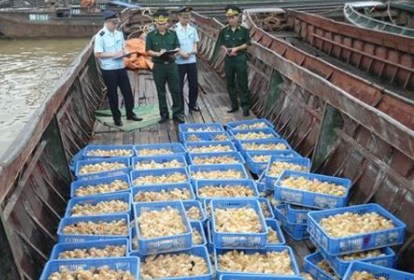 广宁省加大打击走私力度