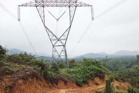 Mỹ Hào có hơn 90 điểm vi phạm hành lang lưới điện cao áp