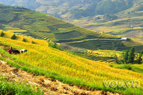 Trao giải và triển lãm ảnh đẹp du lịch Tây Bắc
