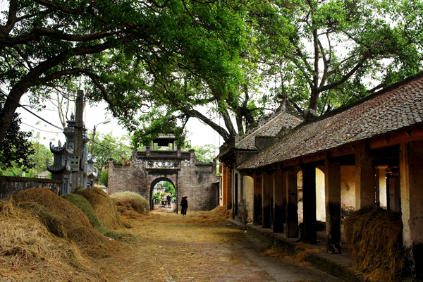 Les belles images sur la civilisation du fleuve Rouge