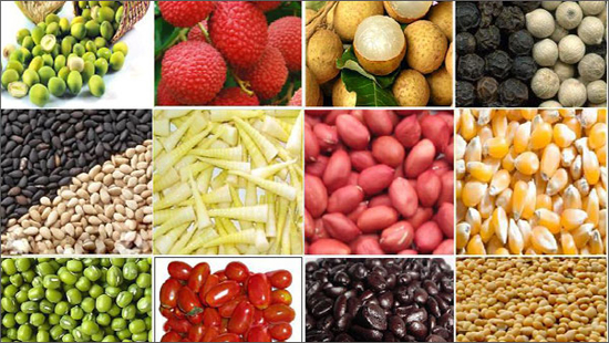 Boosting exports to GCC region