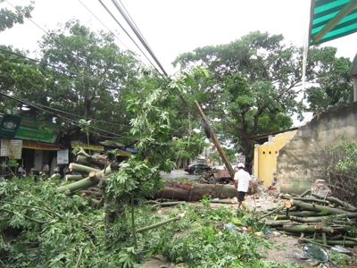 第六号台风“山竹”致两人死亡