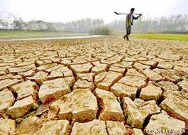 Amérique latine 30 milliards de dollars pour lutter contre le changement climatique