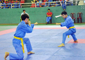 巴地头顿省代表队获得2013年越武道锦标赛东南部赛区的团体第一名