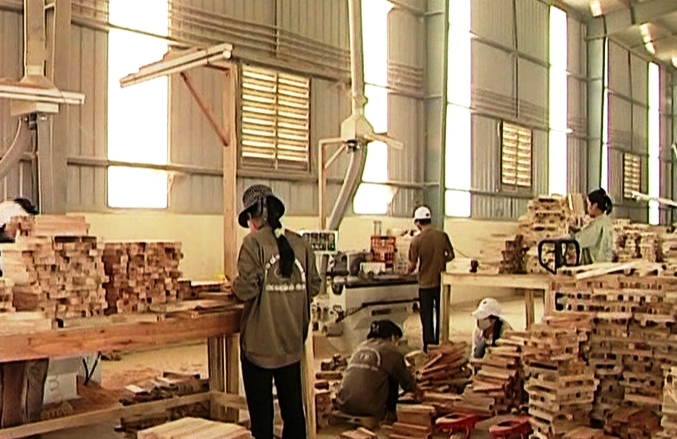 Over 10,700 enterprises return to operation in eight months