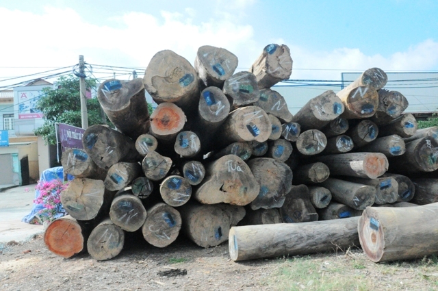 Wood export and processing turnover forecast at USD5 5 billion in 2013