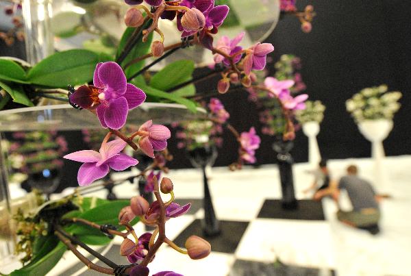 Khai mạc Triển lãm “Hoa và cuộc sống”
