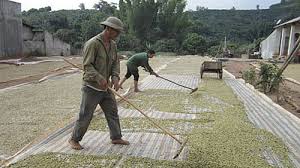 广宁省芒街市北山乡克服困难建设新农村