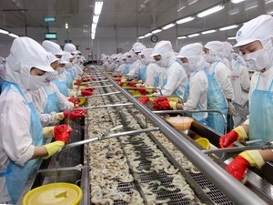VASEP opposes US shrimp anti-subsidy decision