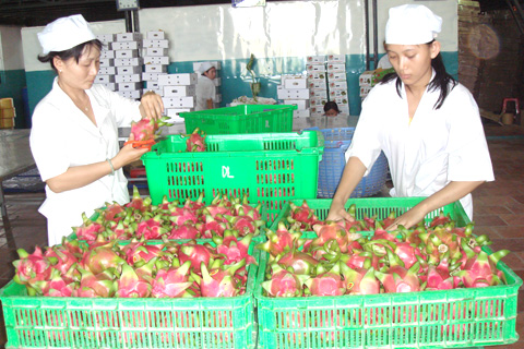 Country exports fruits to 76 countries and territories
