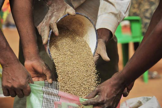 Liên hợp quốc kêu gọi hỗ trợ dân nghèo ở khu vực Sahel